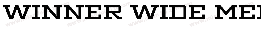 Winner Wide Medium字体转换